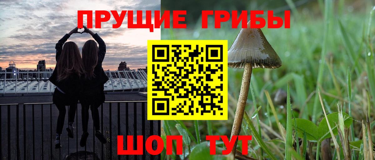 Псилоцибиновые грибы прущие грибы Иркутск
